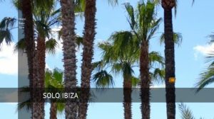 hostal raco ibiza 300x168 Hostal Raco Ibiza en Sant...