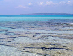 Hire in Formentera 